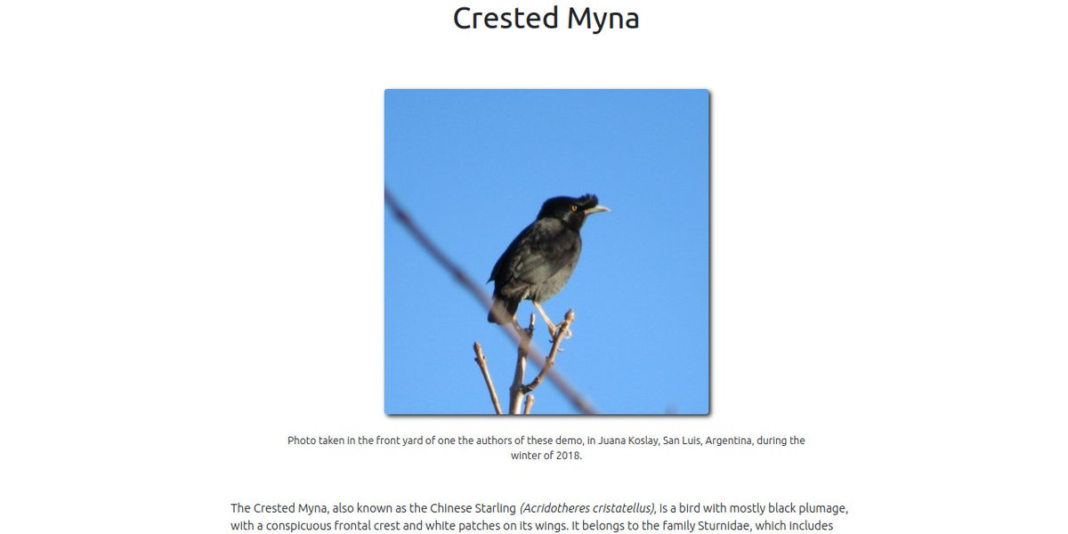 Species Summary