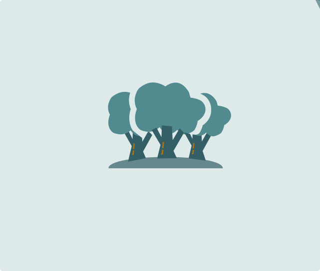 Commitment to the Community and the Environment